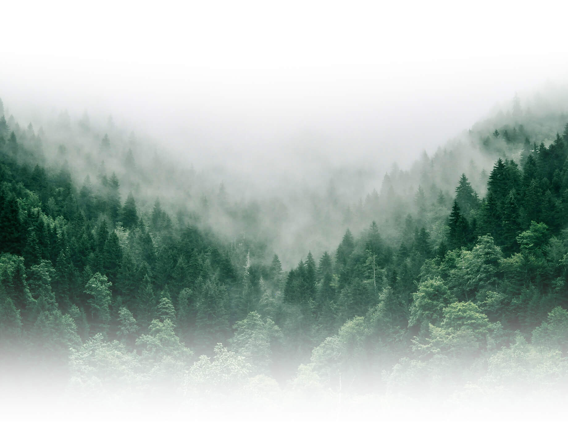 ���ֲ�����Դ���һ������