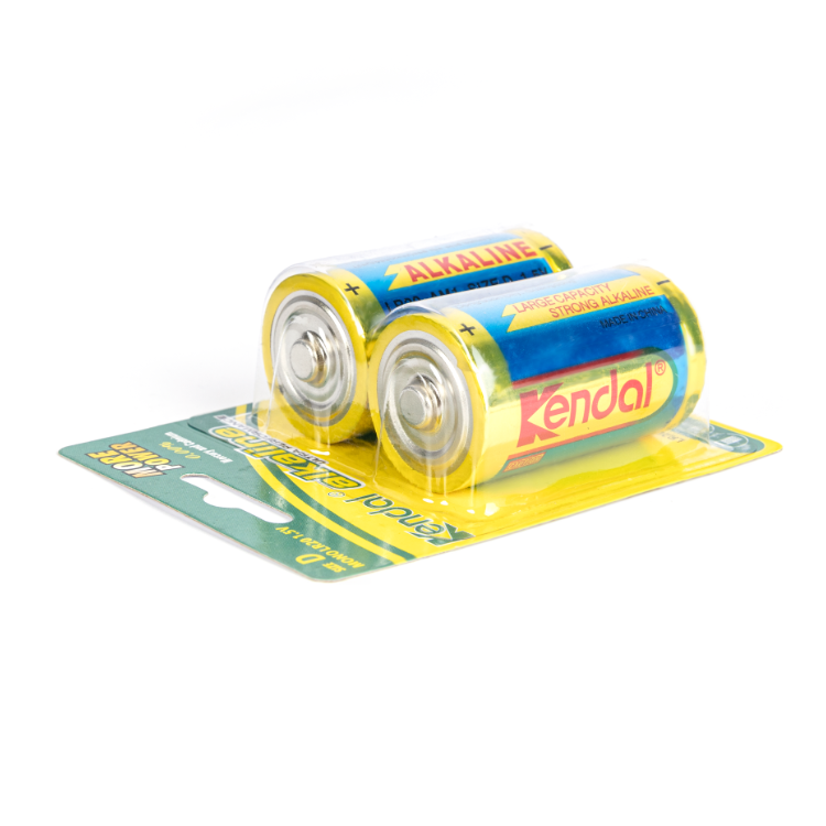 ���Դ�ŵ��  D�� LR20 1.5V